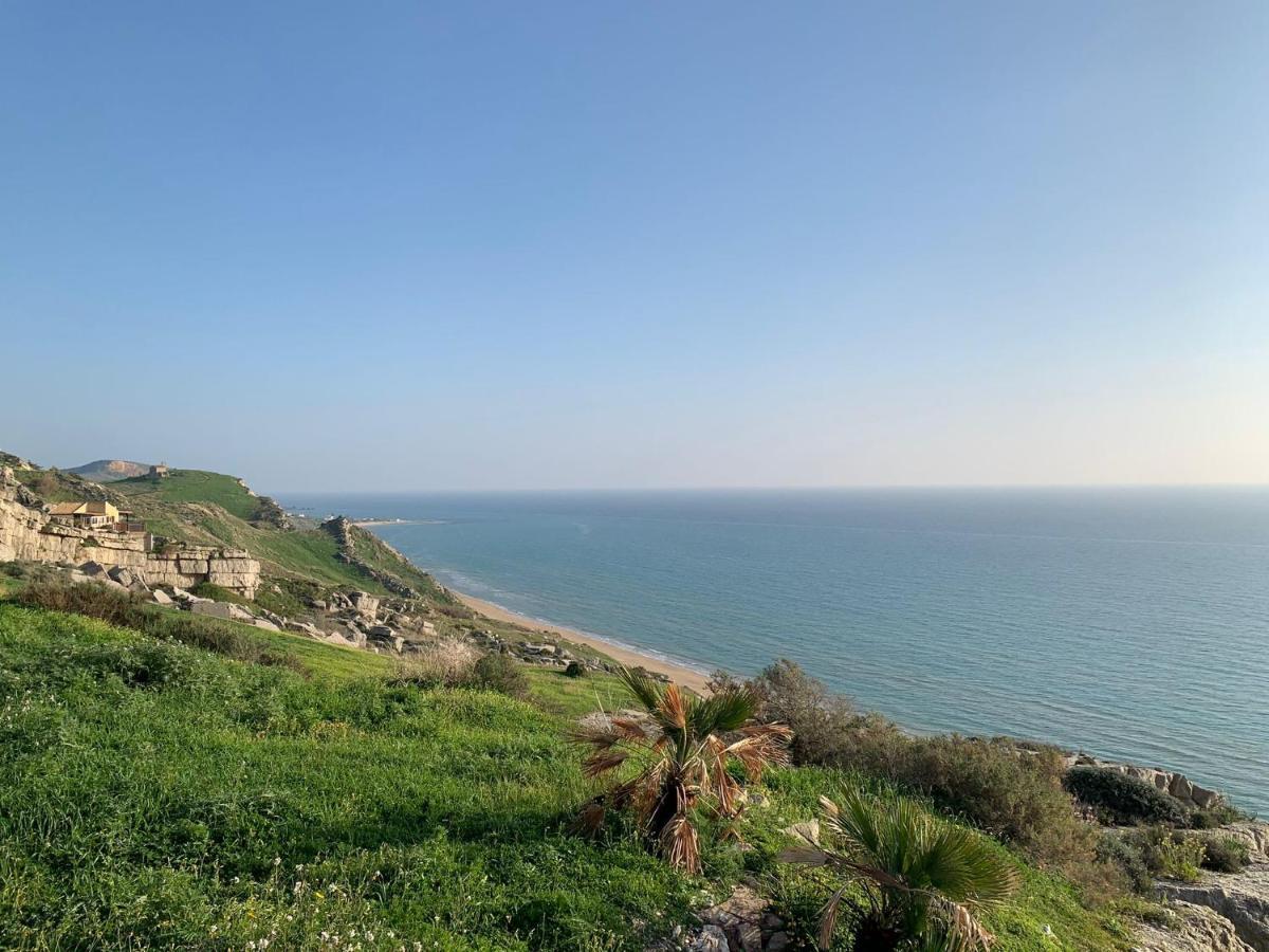 Villa Alfonso Con Vista Mare シクリアーナ・マリーナ エクステリア 写真