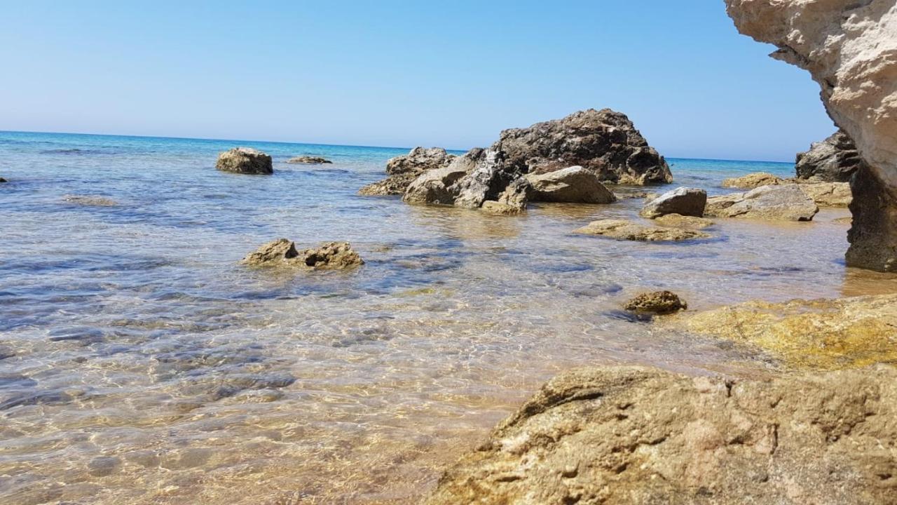 Villa Alfonso Con Vista Mare シクリアーナ・マリーナ エクステリア 写真