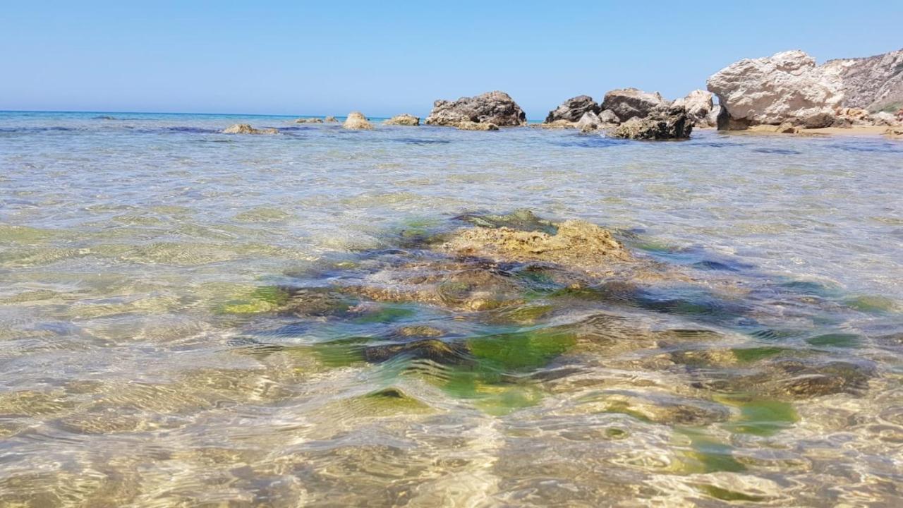 Villa Alfonso Con Vista Mare シクリアーナ・マリーナ エクステリア 写真